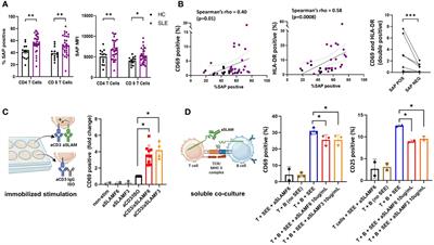 SAP-expressing T peripheral helper cells identify systemic lupus erythematosus patients with lupus nephritis